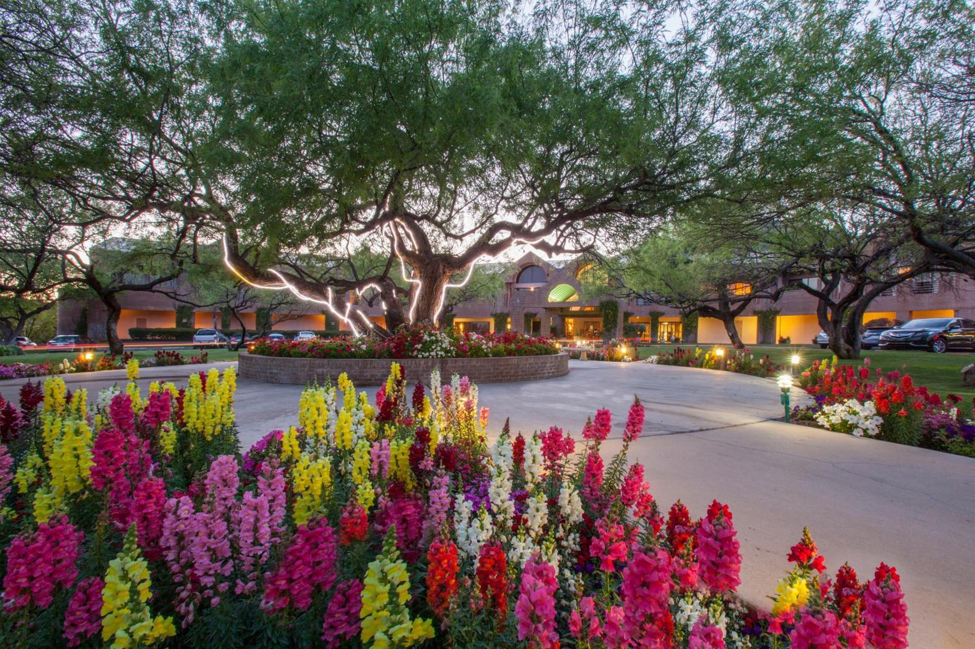 The Lodge At Ventana Canyon Τούσον Εξωτερικό φωτογραφία