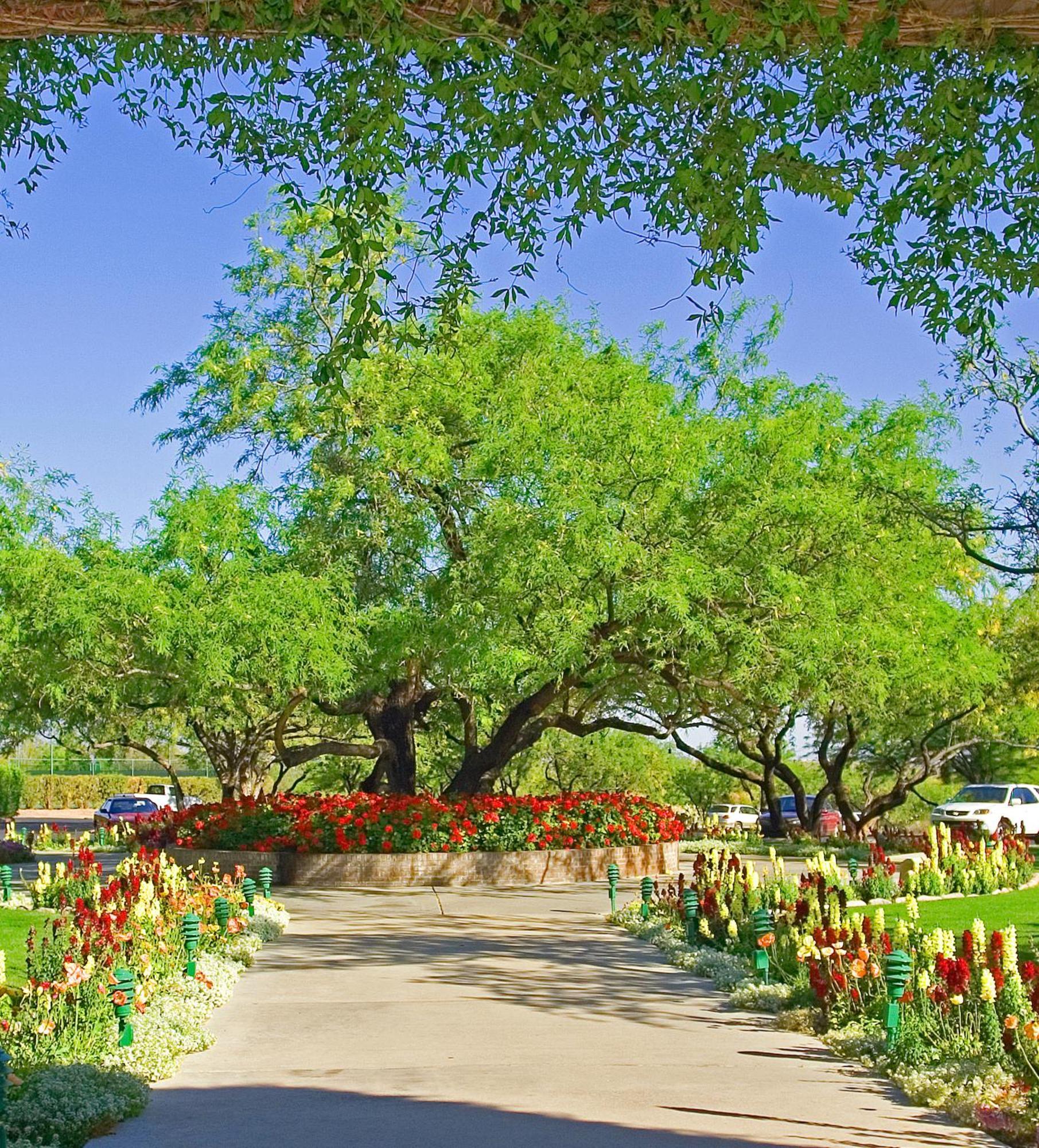 The Lodge At Ventana Canyon Τούσον Εξωτερικό φωτογραφία